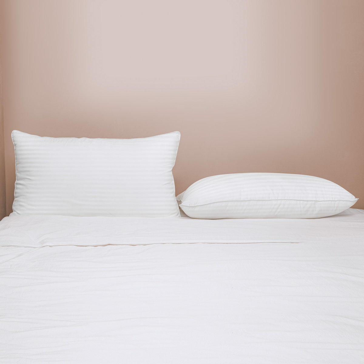Wayfair Sleep Down Alternative Bed Pillow (Set of 2)